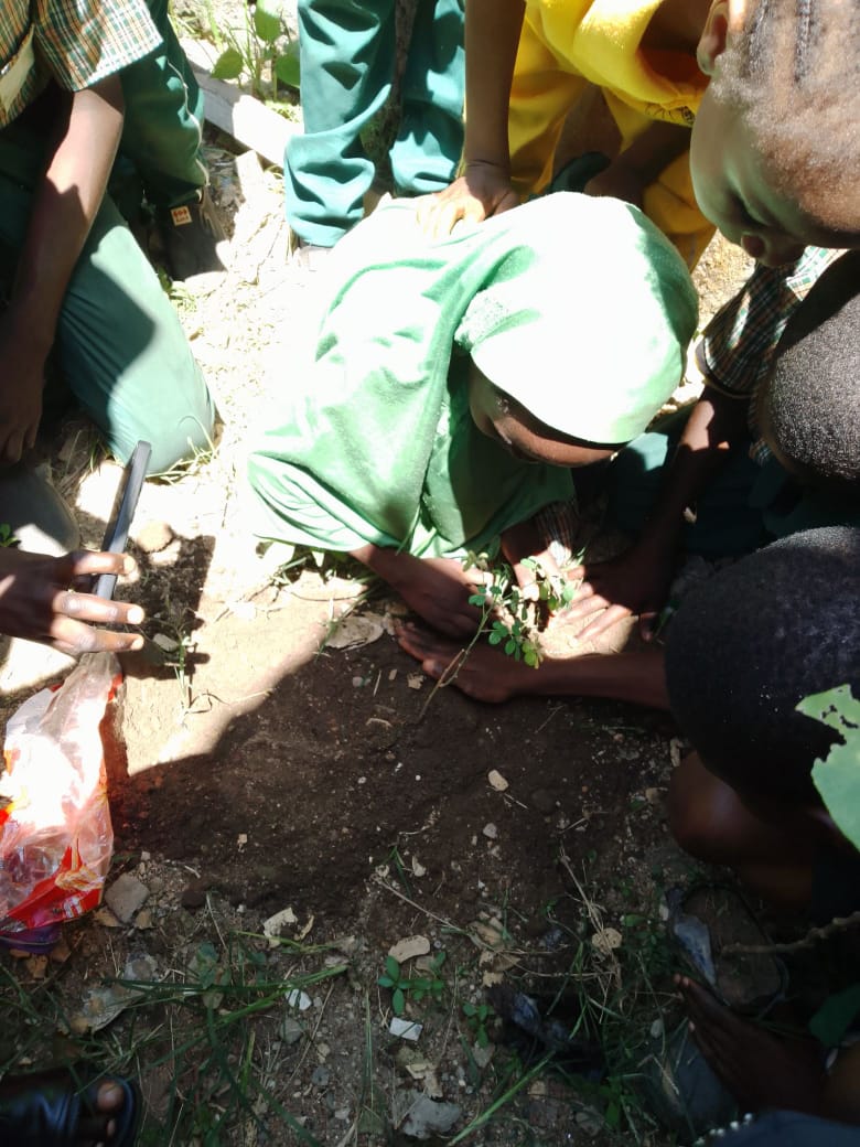 Medical Outreach — HIV, Malaria & TB Screening Gallery
